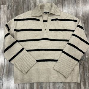 Preppy V-Neck 1/4 Sweater Small Striped Beige and Black Dynamite Fall Top